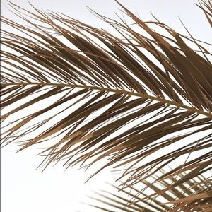 Meet your Posher, Maddy